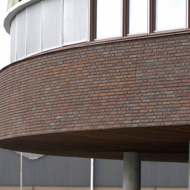 Hollandse-Delta vogelensangh